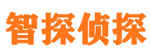 鄄城外遇调查取证